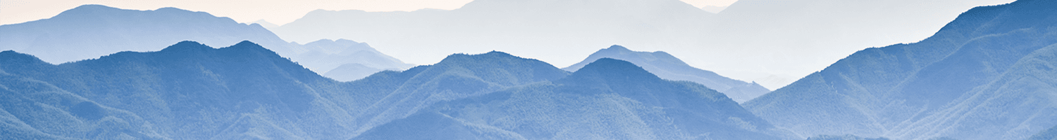 Mountains covered in trees