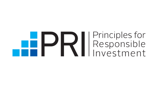 PRI logo written in back with blue boxes creating step effect
