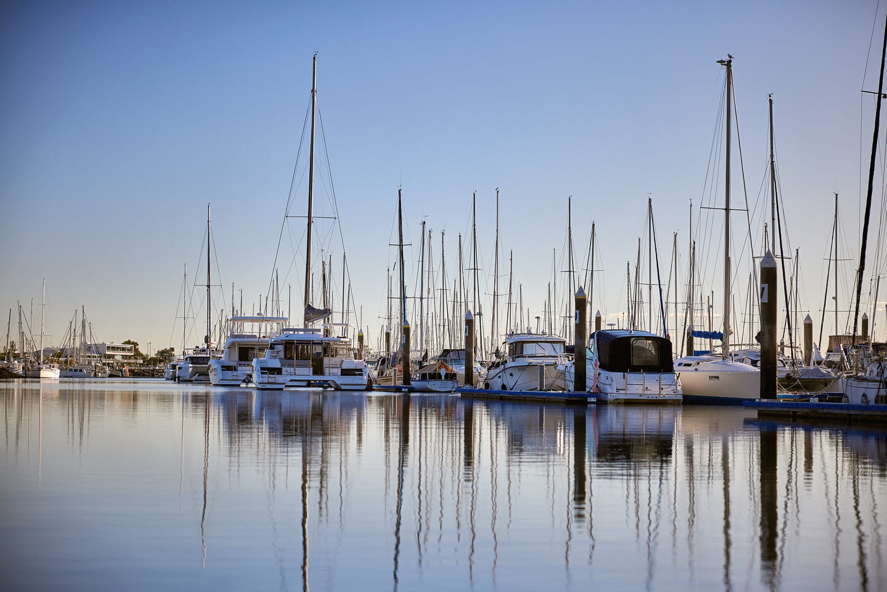 Boats in a marina