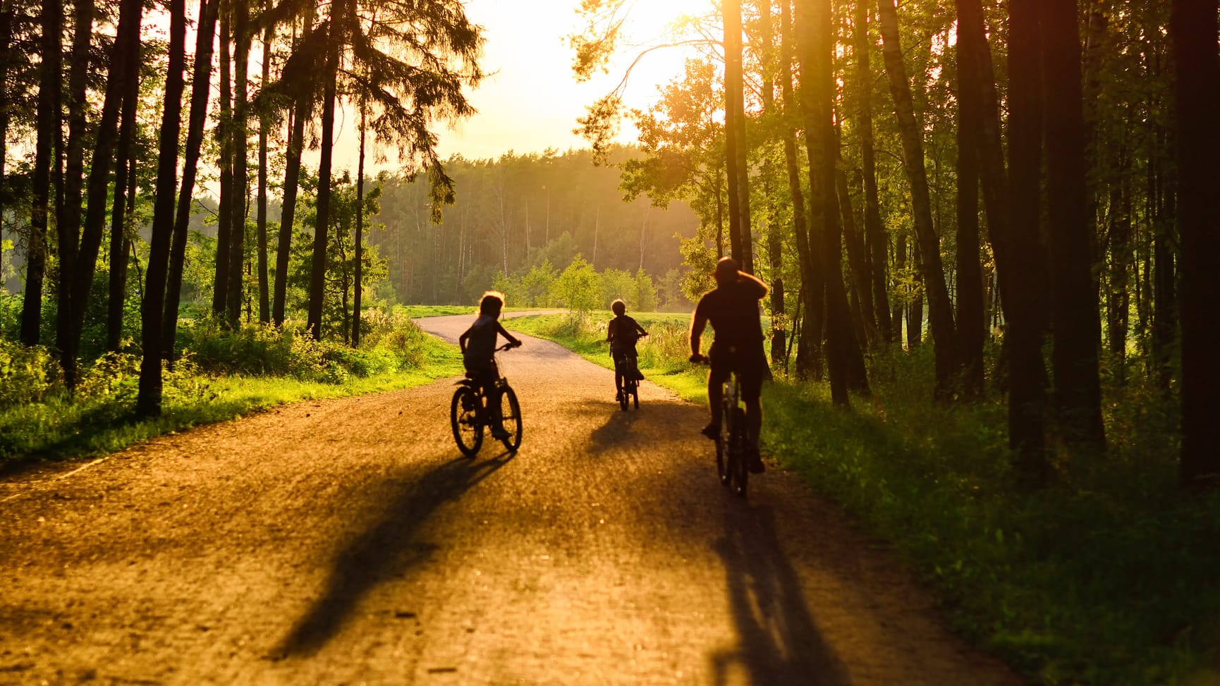 Two children and an adult riding bikes through the Forrest