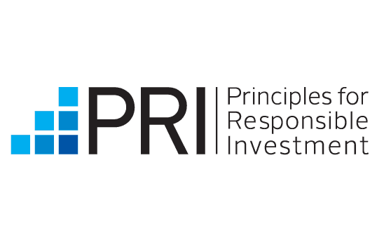 PRI logo written in back with blue boxes creating step effect