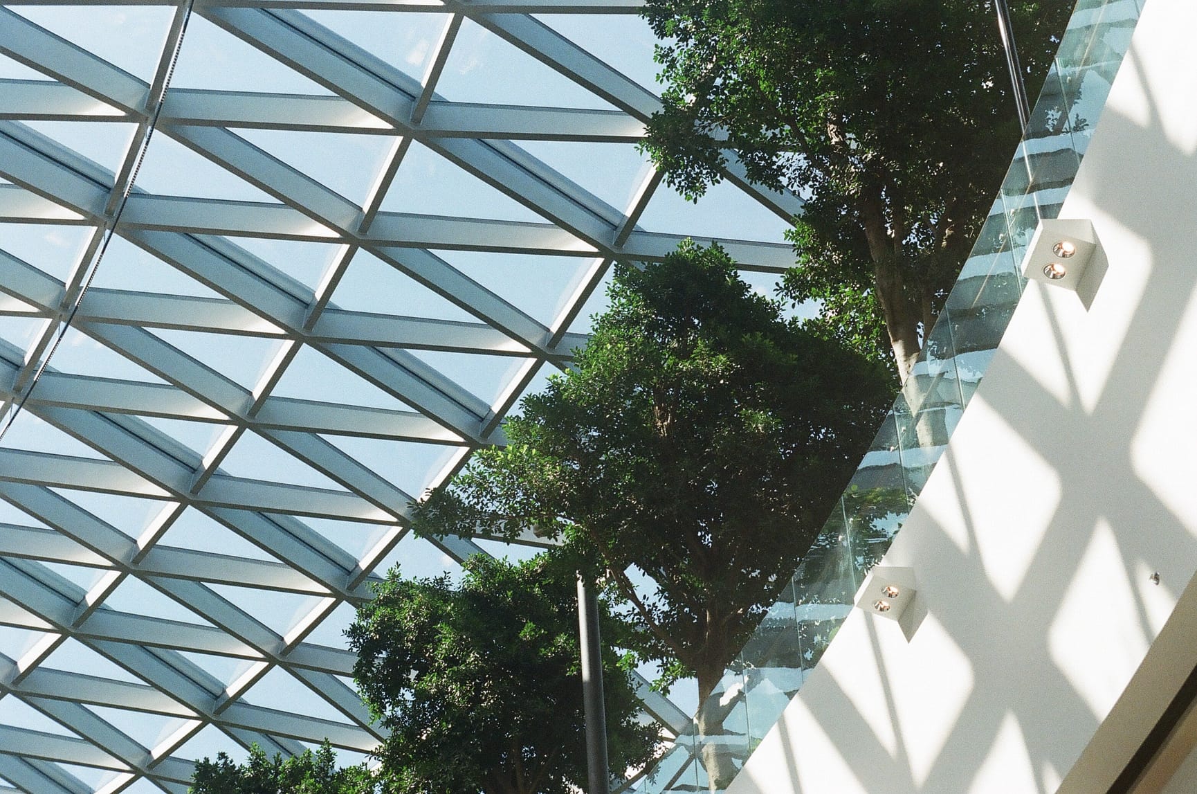 Building with glass roof and greenery